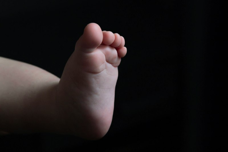 Are synthetic wombs the future of childbirth? New Chinese experiment sparks debate