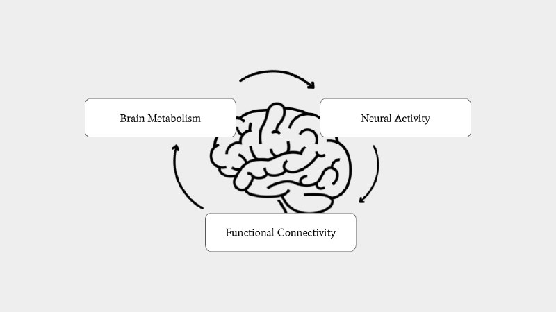 Neuroenergetics: Your Brain’s Energy Budgeting System