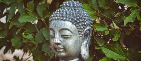 Buddhism for Beginners | Start your journey here!