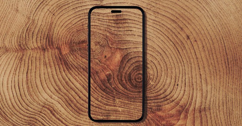 Wood That Is See-Through Like Glass and Stronger Than Plastic