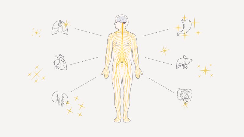 Interoception: The hidden ‘sixth sense’