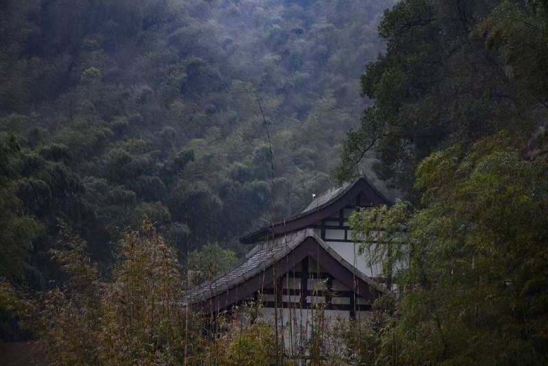 湖南常德，药山寺竹林禅院湖南常德，药山寺竹林禅院