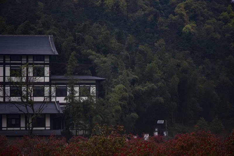 湖南常德，药山寺竹林禅院湖南常德，药山寺竹林禅院