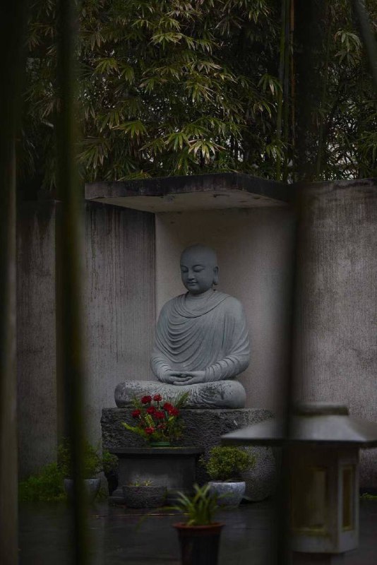 湖南常德，药山寺竹林禅院湖南常德，药山寺竹林禅院