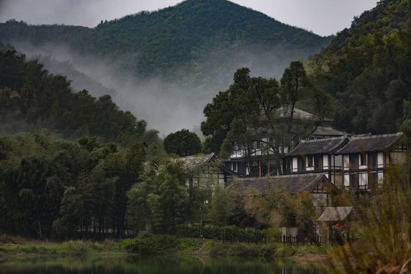 湖南常德，药山寺竹林禅院湖南常德，药山寺竹林禅院